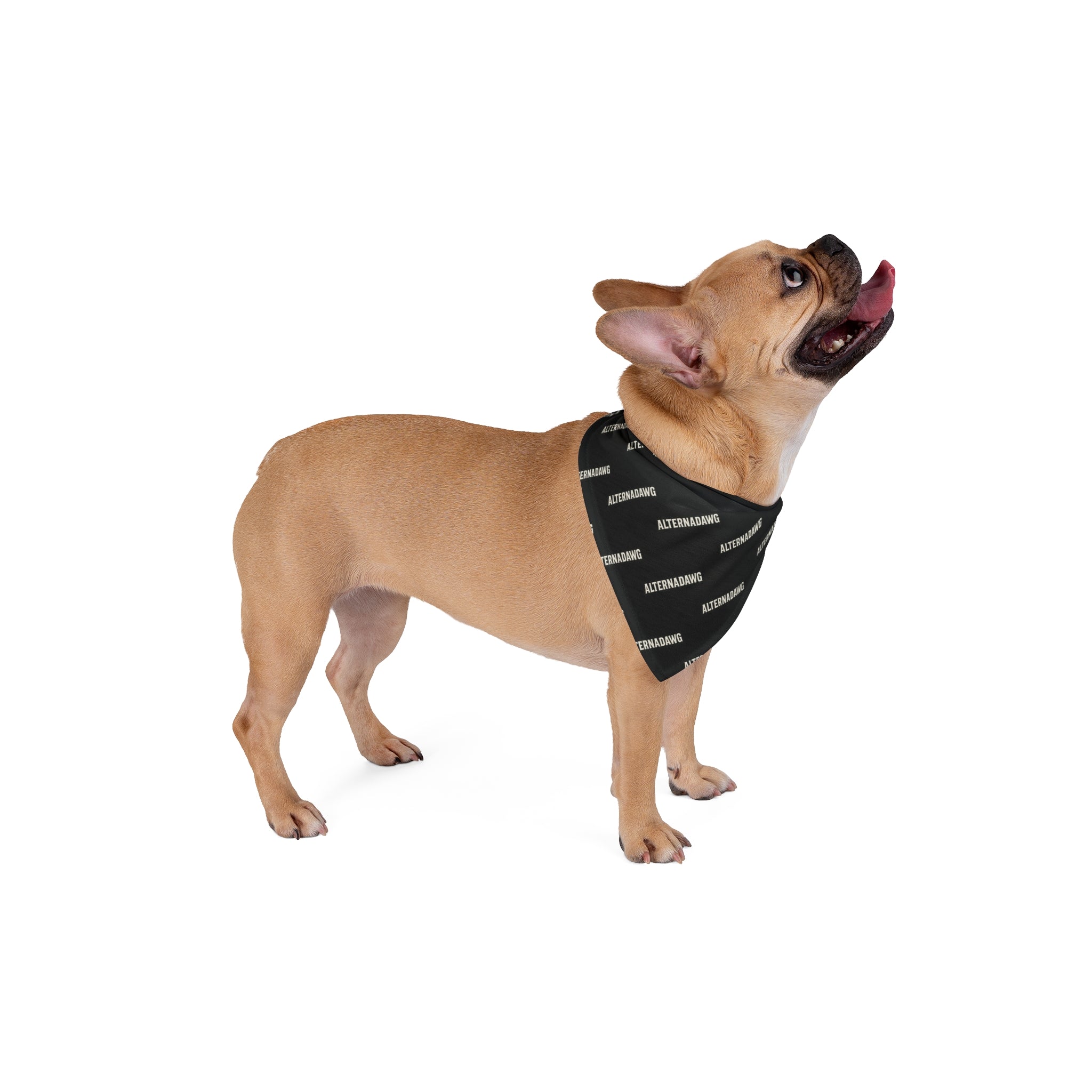 Pet Bandana — ALTERNADAWG - BLACK