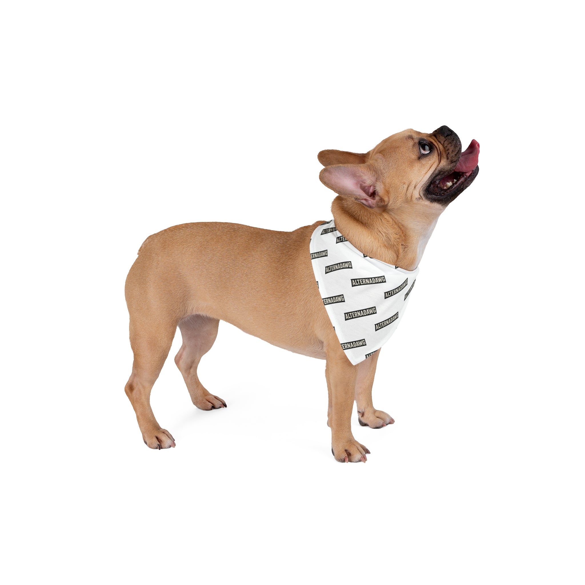 Pet Bandana — ALTERNADAWG - WHITE